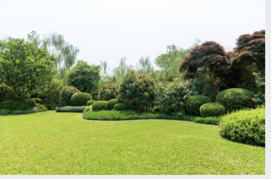 Lush layered garden beds and manicured lawn
