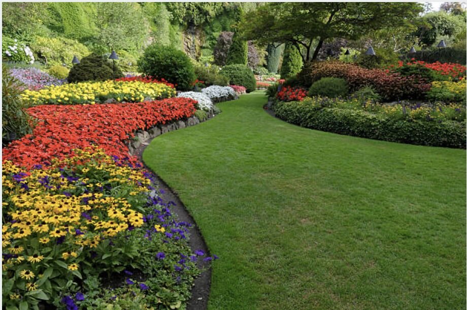 Curved flower beds beside a manicured lawn