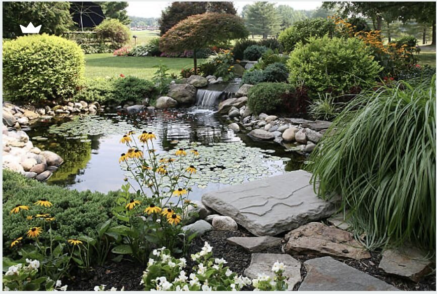 Koi pond framed by native plantings