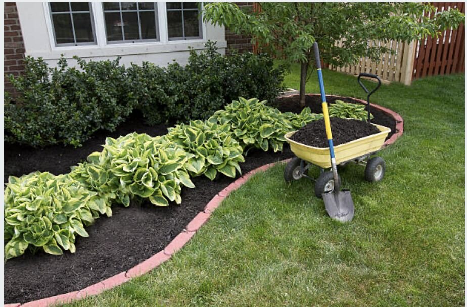 Fresh mulch bed along a garden border